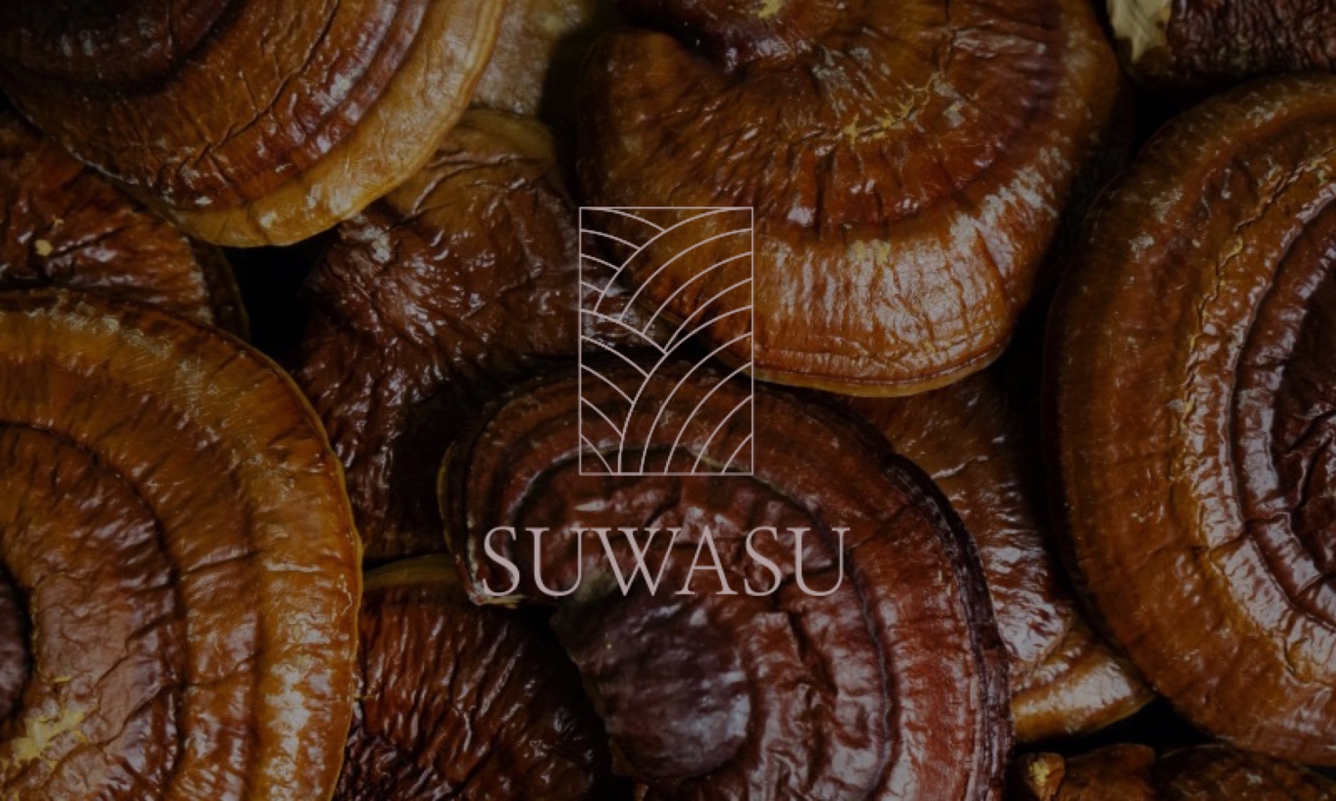 SUWASU 수와수 브랜드 비주얼 — 겹겹이 쌓인 영지버섯 위에 얹은 골드 심볼과 SUWASU 워드마크